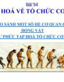 Bài giảng điện tử môn sinh học: sự tiến hóa