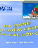 Bài giảng điện tử môn sinh học: sự đa dạng của lớp cá