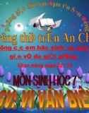 Bài giảng điện tử môn sinh học: Đặc điểm của tôm sông