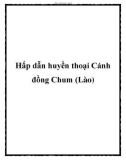 Hấp dẫn huyền thoại Cánh đồng Chum (Lào)