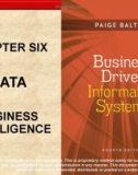 Lecture Business driven information systems (4/e): Chapter 6 - Paige Baltzan