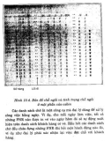 Công nghệ du lịch part 9