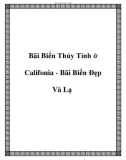 Bãi Biển Thủy Tinh ở Califonia - Bãi Biển Đẹp Và Lạ