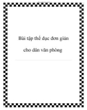 Bài tập thể dục đơn giản cho dân văn phòng