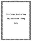 Ngỡ Ngàng Trước Cảnh Đẹp Liêu Ninh Trung Quốc