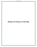 Không Chờ Mong Lời Giải Đáp