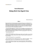 Giáng Sinh Của Người Cừu