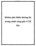 Khám phá thiên đường ẩn trong cánh rừng già ở CH Séc