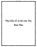 Thị trấn cổ Avila của Tây Ban Nha