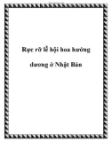 Rực rỡ lễ hội hoa hướng dương ở Nhật Bản