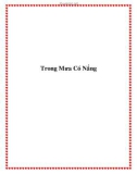 Trong Mưa Có Nắng