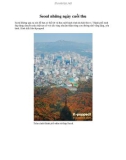 Seoul những ngày cuối thu