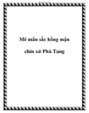 Mê mẩn sắc hồng mận chín xứ Phù Tang