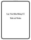 Lạc Vào Khu Rừng Cổ Tích xứ Wales