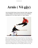 Arnis ( Võ gậy)