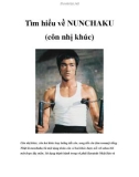 Tìm hiểu về NUNCHAKU (côn nhị khúc)