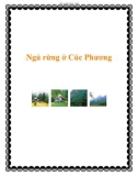 Ngủ rừng ở Cúc Phương