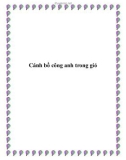 Cánh bồ công anh trong gió