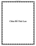 Chùa Hổ Thái Lan