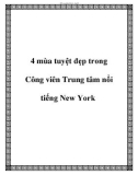 4 mùa tuyệt đẹp trong Công viên Trung tâm nổi tiếng New York