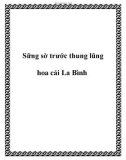 Sững sờ trước thung lũng hoa cải La Bình