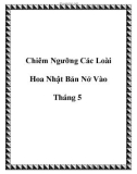 Chiêm Ngưỡng Các Loài Hoa Nhật Bản Nở Vào Tháng 5