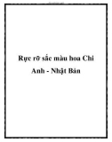 Rực rỡ sắc màu hoa Chi Anh - Nhật Bản