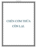 CHÉN CƠM THỪA CÒN LẠI.