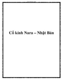 Cổ kính Nara – Nhật Bản