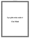 Lạc giữa mùa xuân ở Côn Minh