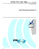 Hybrid Broadcast Broadband TV