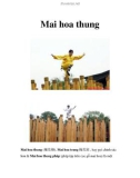 Mai hoa thung