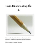 Cuộc đời như những dấu câu