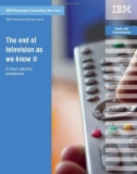 The end of television as we know it A future industry perspective