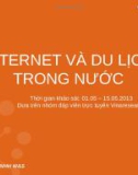 Khảo sát Internet và du lịch trong nước