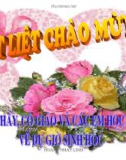 Bài 35: Hocmom thực vật