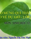 Bài giảng Sinh học 12 bài 45: Dòng năng lượng trong hệ sinh thái và hiệu suất sinh thái