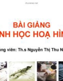 Bài 3: Mặt Phẳng