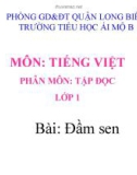 Bài giảng môn Tiếng Việt lớp 1 sách Cánh diều năm học 2019-2020 - Tuần 29: Tập đọc Đầm sen (Trường Tiểu học Ái Mộ B)