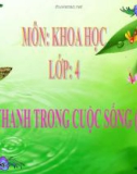 Bài giảng Âm thanh trong sự sống tt - Khoa học 4 - GV. N.T.Sỹ