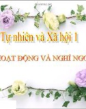 Bài giảng TNXH 1 bài 9: Hoạt động và nghỉ ngơi