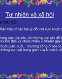 Giáo án điện tử môn Tự nhiên và xã hội lớp 3 - Bài: Vệ sinh môi trường (Tiếp theo)