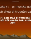 Giáo án điện tử môn sinh học: Sinh học lớp 12- Sự Sống của thực vật