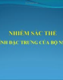 Giáo án điện tử môn sinh học: Sinh Học lớp 12- Nhiễm Sắc thể- Các Loại NST