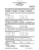 Đề thi thử Đại học lần 2 môn Vật lí năm 2008-2009 (Mã đề 135) - THPT Tân Yên 1
