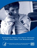 Electronic Media and Youth Violence: A CDC Issue Brief for Researchers