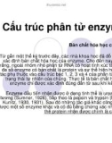 Cấu trúc phân tử enzyme