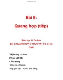 Bài 9: Quang hợp (tiếp)