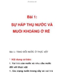 Bài 1: SỰ HẤP THỤ NƯỚC VÀ MUỐI KHOÁNG Ở RỄ