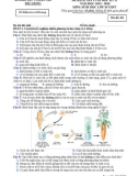 Đề thi học kì 2 môn Sinh học lớp 10 năm 2023-2024 - Sở GD&ĐT Bắc Giang